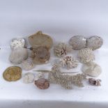 Various natural bleached sea corals, ammonite fossil, dried puffer fish and seahorse
