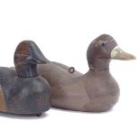 2 carved and painted wood decoy ducks, largest length 35cm (2)