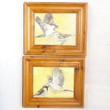 Clive Fredriksson, pair of oils on board, bird studies, 16cm x 21cm, pine-framed