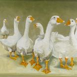 Clive Fredriksson, oil on board, gaggle of geese, 30" x 40", framed