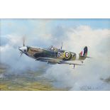 Robert Taylor, oil on canvas, Spitfire V6 RST, signed and dated 1982, 12" x 18", framed, together