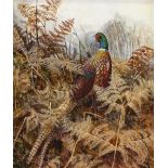 Ken Turner, oil on board, pheasant in undergrowth, signed, 16.5" x 11.5", framed Very good condition