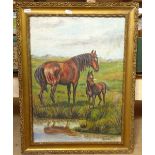 Tony Bundell, oil on board, mare and foal, 50cm x 36cm, framed