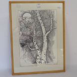 Lavinia Leamont, monochrome etching, study of silver birches, 40cm x 28cm, framed