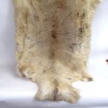 A grey wolf skin rug, length 130cm