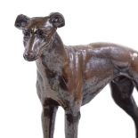 A patinated bronze Greyhound, unsigned, probably early 20th century, on wooden plinth base, plinth