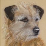 Coloured pastels, portrait of a Terrier, unsigned, 12" x 9", maple framed Very good condition