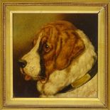 Eastrop, oil on board, portrait of a St Bernard dog, signed, 9" x 8.5", framed Very good original