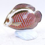 Royal Crown Derby tropical fish "Gourami"