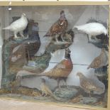 TAXIDERMY - a Victorian diorama of birds, including pheasants and wading birds, case width 102cm,