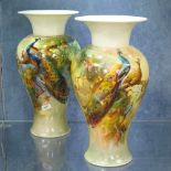 A pair of Royal Worcester porcelain vases, with painted designs of peacocks in branches, height 31cm