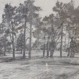 Cordero, 3 large pencil and charcoal sketches, landscapes, framed (3)