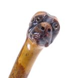 A carved wood dog's head-handled walking cane with glass eyes Slightly rubbed on the high point,