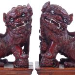 A pair of Chinese carved and stained wood Dogs of Fo on pedestals, height 21cm