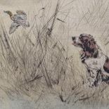 Henry Wilkinson (1921 - 2011), pair of coloured etchings, sporting dogs, signed in pencil, plate