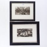 Brian Sowerby, 2 etchings, Hazzard, and Daffs, signed in pencil, from and edition of 75, 5" x 9.