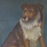 Maude Turner, oil on board, Collie dog, signed, 17" x 21", framed There is a slight discolouration