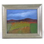 Douglas Thomson (born 1955), oil on board, abstract landscape, signed, 9" x 11.5", framed Good