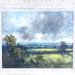 Daniel Wright, 2 oils on board, impressionist landscapes, 16" x 19", framed Good condition