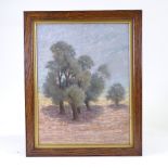 French School, coloured pastels, olive grove, unsigned, 18.5" x 14", framed Good condition