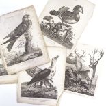 Folder of early 19th century prints, birds and animals