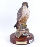 A Royal Doulton peregrine falcon HN3541 sculpture, limited edition no. 362/2500, signed, on fitted