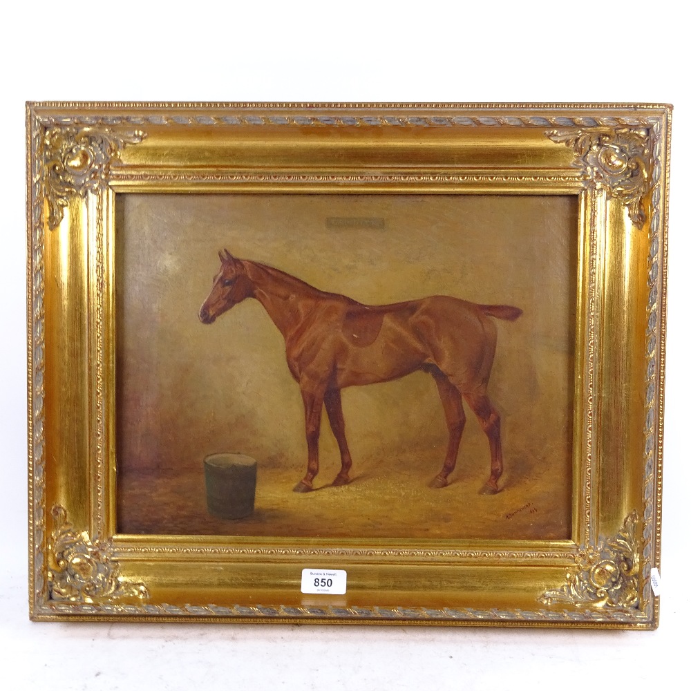 A L Townsend, 19th century oil on canvas, portrait of the race horse Gambler, signed and dated 1899,