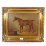 A L Townsend, 19th century oil on canvas, portrait of the race horse Gambler, signed and dated 1899,