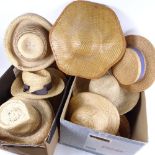 A large quantity of various straw hats (2 boxes)