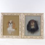 Pair of coloured pastels, portraits of dogs, unsigned, 10" x 7.5", framed One in good condition, the