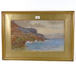 Norman Netherwood, watercolour, coastal view, signed, 11" x 19", framed Slight paper discolouration