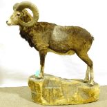 TAXIDERMY - a mountain goat on naturalistic base, overall height 122cm