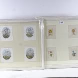 2 framed sets of 4 coloured etchings, still life and botanical studies, signed in pencil, overall