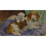 Eugenie M Walter, 19th/20th century watercolour of a dog and kitten, signed, 6.5" x 11.5", framed