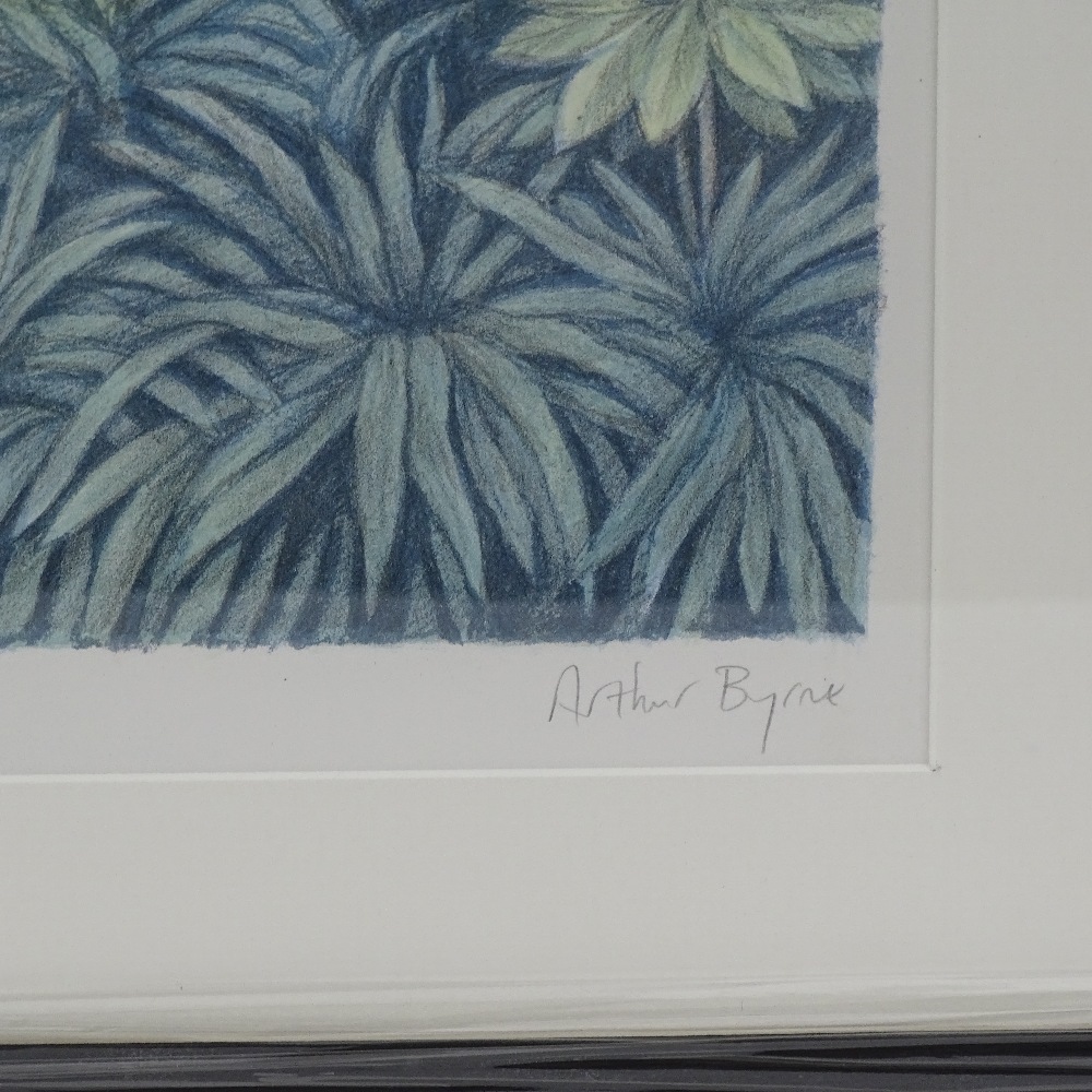 Arthur Byrne (b.1946), signed original limited edition screen print "Palace Conservatory" 18/290, - Image 3 of 4