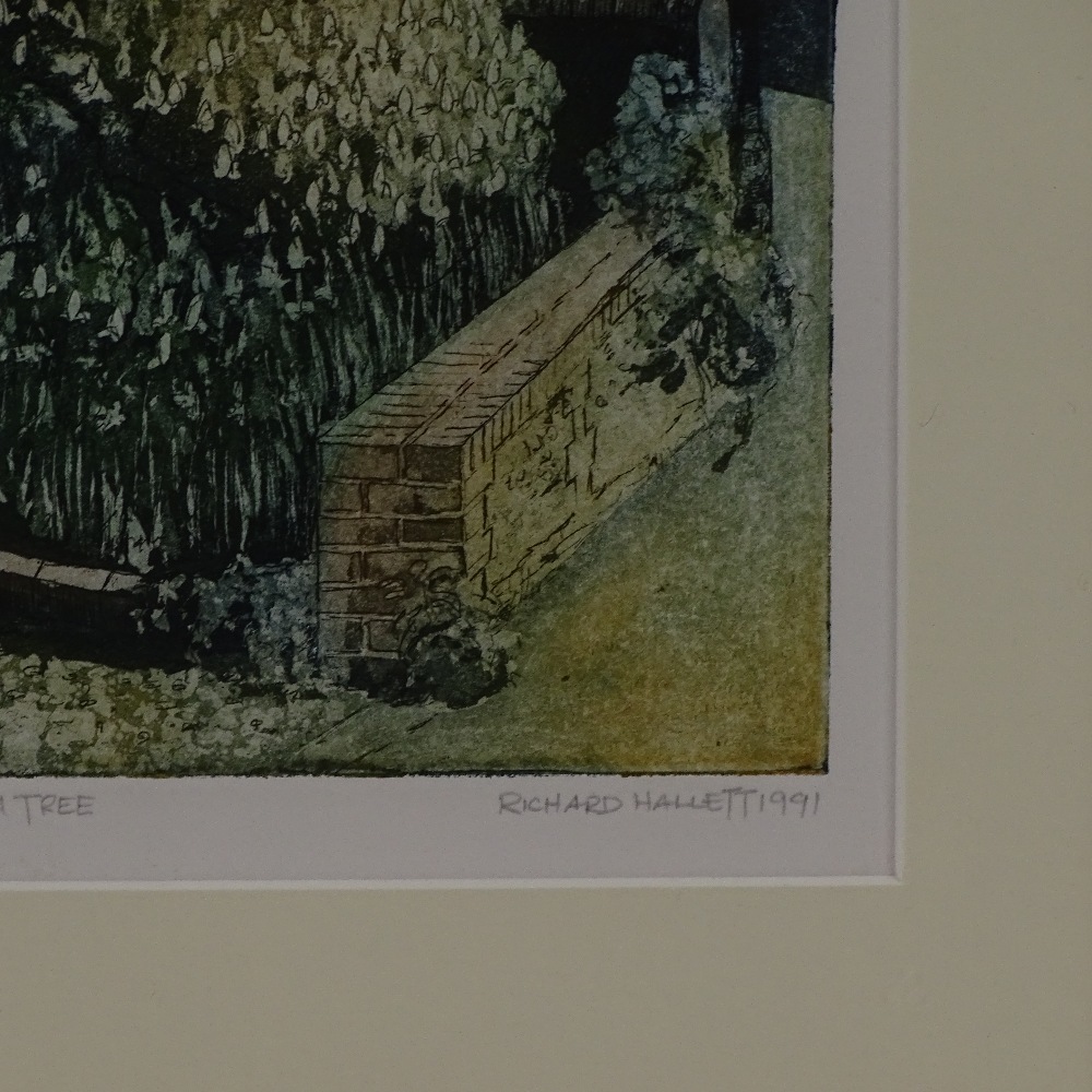 Richard Hallett, original etching "The Magnolia Tree" artist proof, 8" x 12", framed Excellent - Image 3 of 4