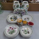 A group of Portmeirion Botanic Garden pattern ceramics, including plates, storage jars, vases etc