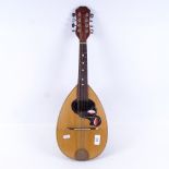 A mandolin by Giuseppe Quaglia