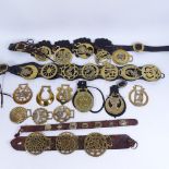 A collection of mainly 19th century horse brasses, some on leather Martingale straps