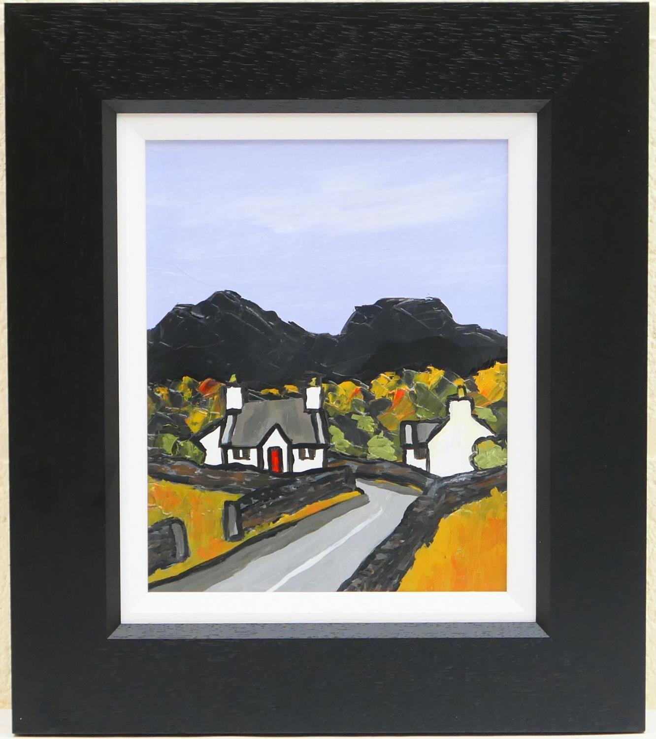 David Barnes (Contemporary), Snowdonia cottages, oil on board, signed and titled verso, 24.5cm x