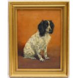 Frances Mable Hollams (1877-1963), Portrait of 'Freda' the Springer Spaniel, oil on board, signed,