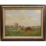 Niel Vaex (?) (Contemporary), Horses grazing in a water meadow, oil on canvas, signed, 60cm x 80cm