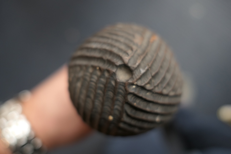 Carved hardwood walking cane, with simple geometric incised decoration, possibly Aboriginal - Image 5 of 11