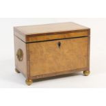 Regency birds eye maple and rosewood banded tea caddy, rectangular form, the interior having two