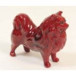 Bernard Moore flambe Pomeranian dog, original eyes, apparently unmarked, 6cm (Viewing is by
