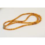 Butterscotch amber double strand beaded choker necklace, graduated spherical beads, the largest 12mm
