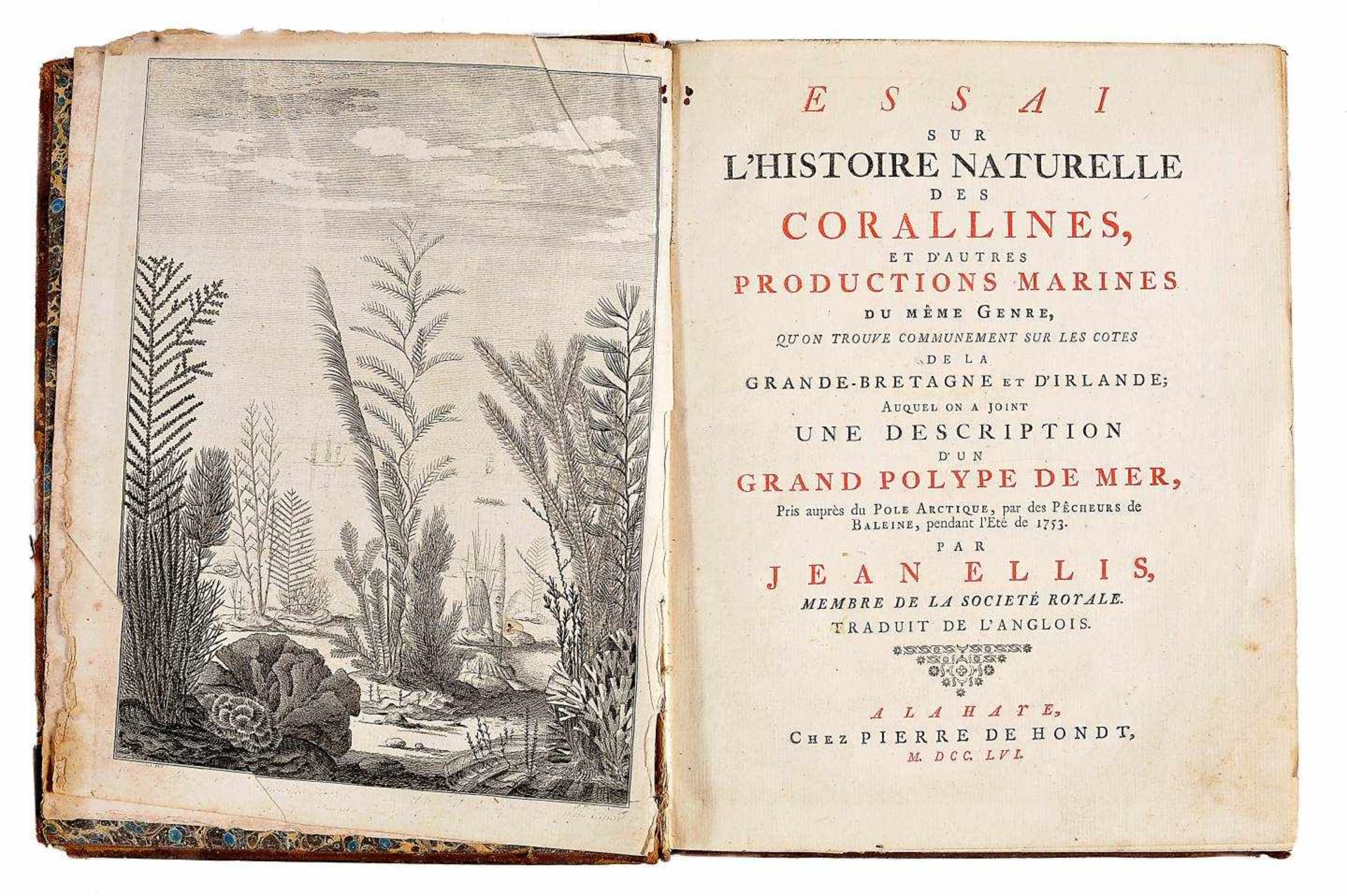 Histoire Naturelle des Coralines, de John Ellis, 1756Histoire Naturelle des Coralines, de John