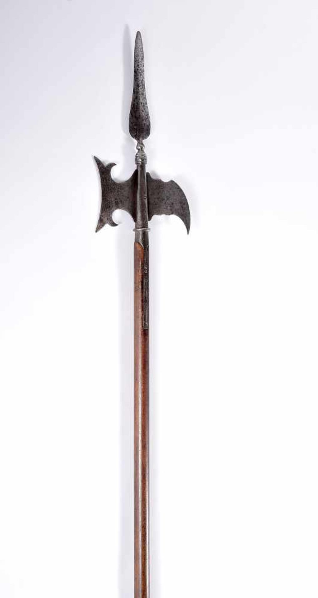 Infantry Sergeant Halberd - Bild 4 aus 5