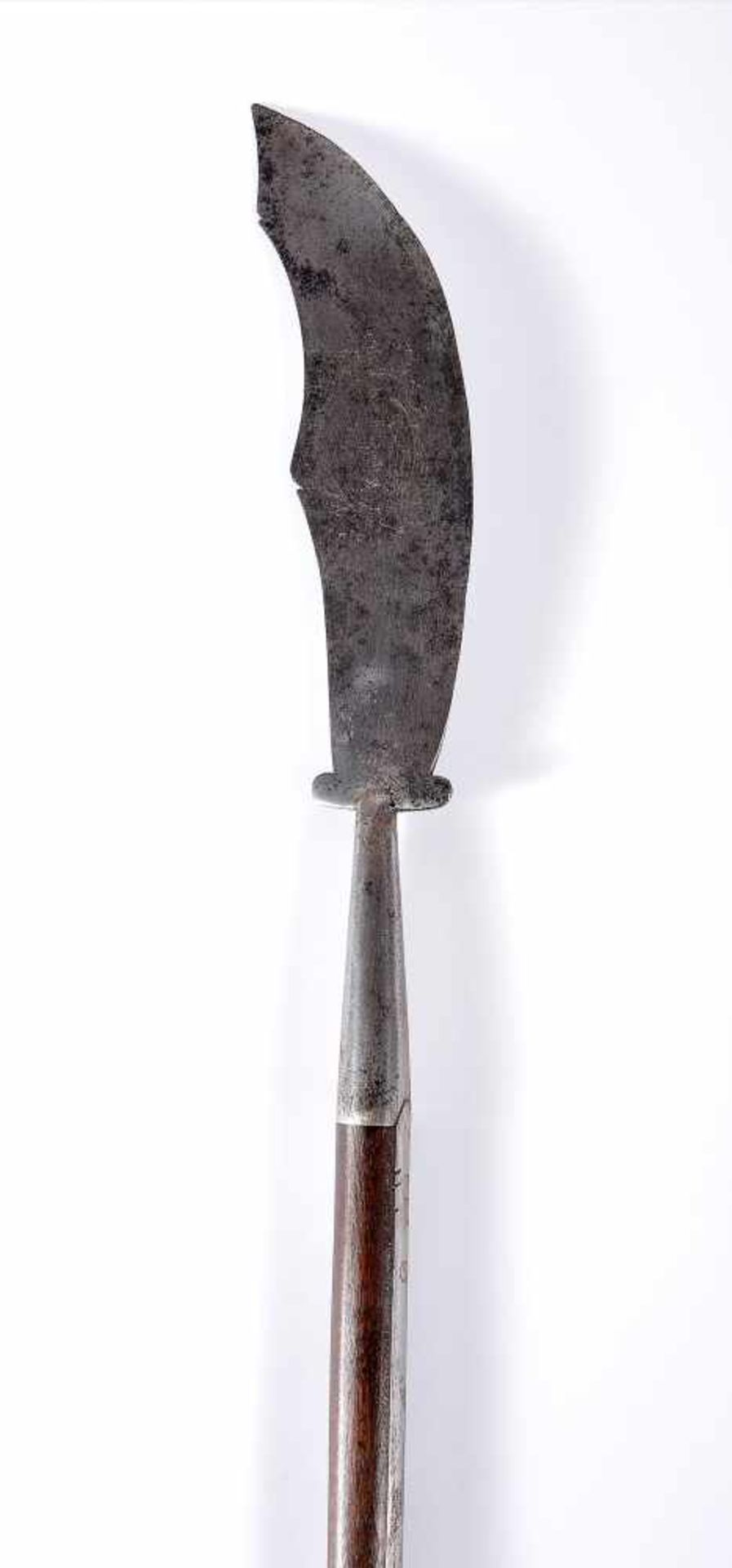 Halberd of Guard of the Royal Pine Forests (1777-1792) - Bild 4 aus 4