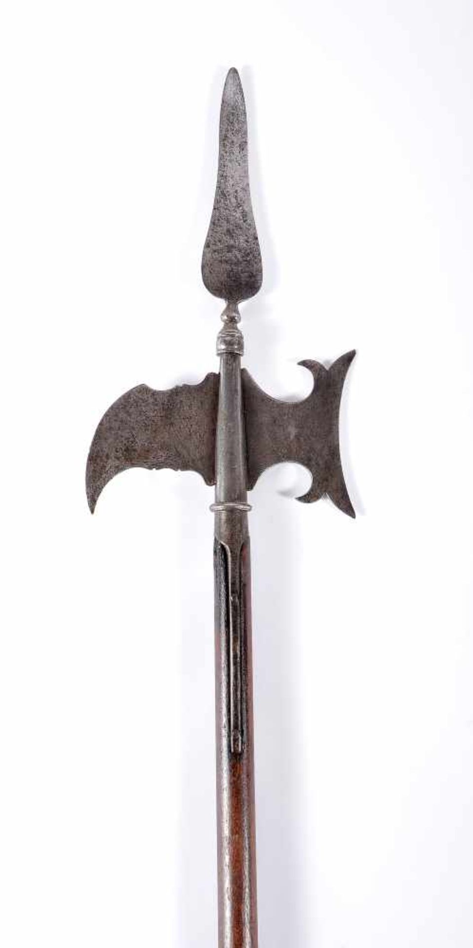 Infantry Sergeant Halberd - Bild 5 aus 5